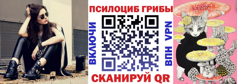 Псилоцибиновые грибы Cubensis  купить  сайты  Заринск 