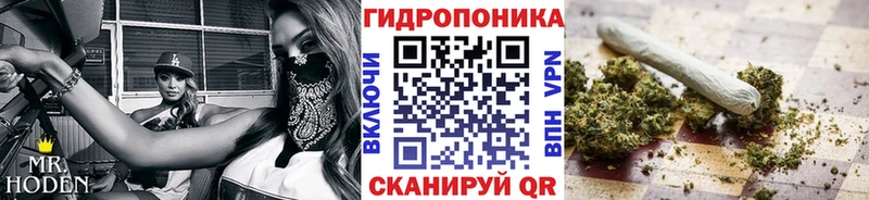 mega ссылки  Заринск  Бошки марихуана сатива 